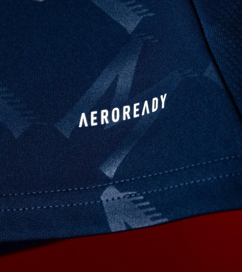 Manchester United 2024 Away Jersey